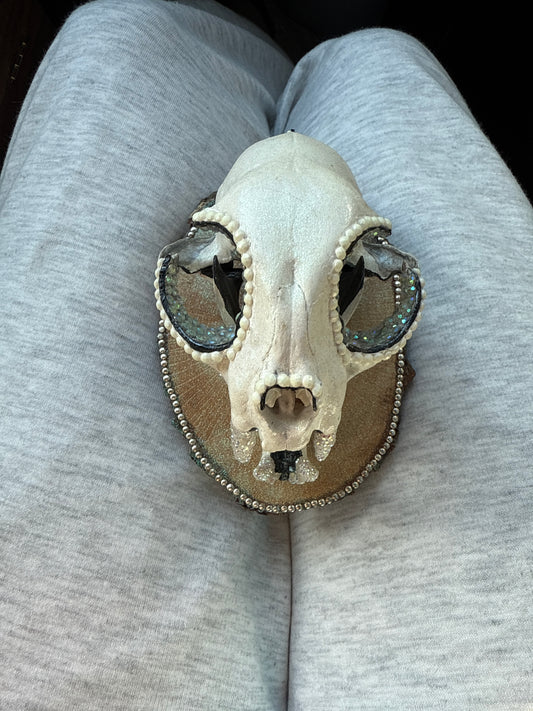 Bejeweled Cat Skull